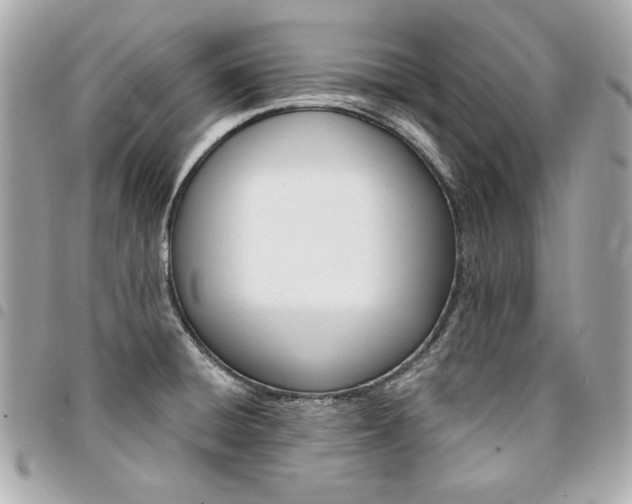X0000095511428200712140925