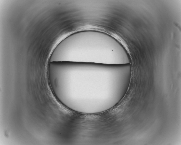 X0000095511429200712140925