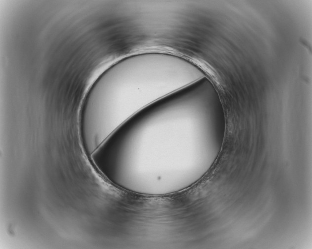 X0000095511430200712140925