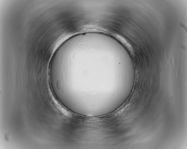 X0000095511431200712140925