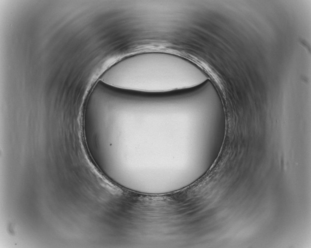 X0000095511432200712140925