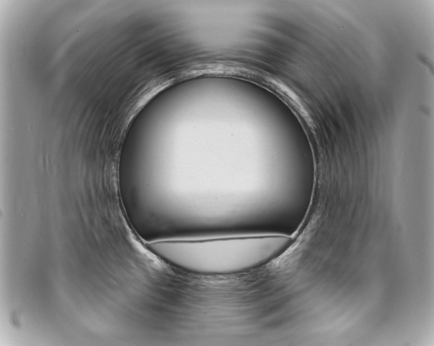 X0000095511433200712140925