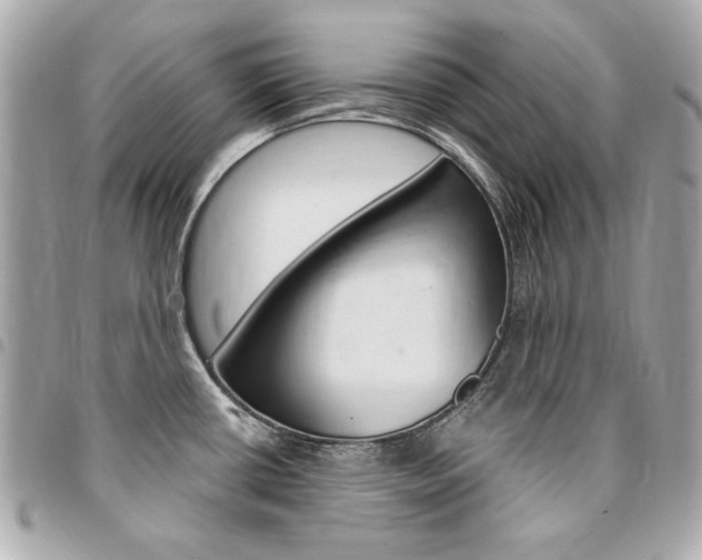 X0000095511434200712140925