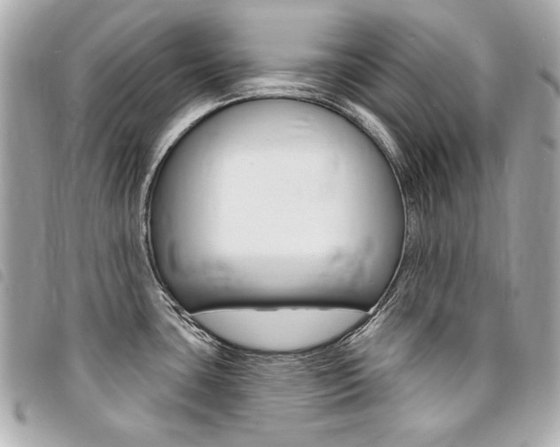 X0000095511435200712140925