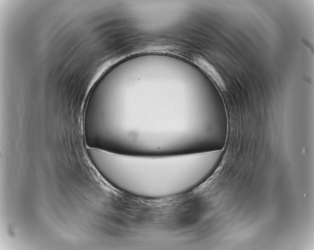 X0000095511436200712140925