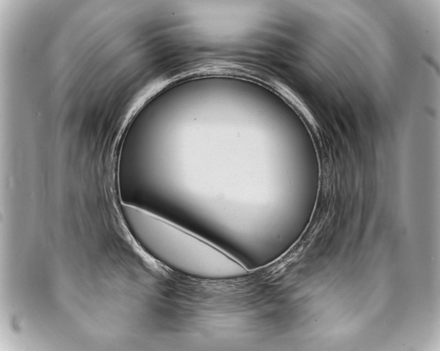 X0000095511437200712140925
