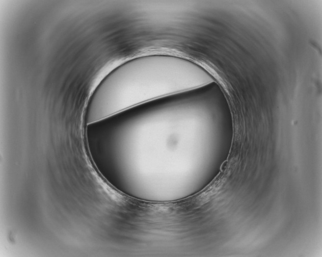 X0000095511438200712140925