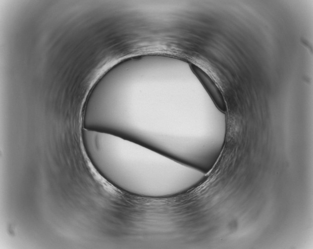 X0000095511439200712140925