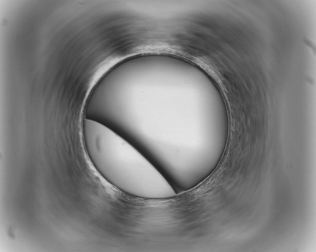 X0000095511440200712140925
