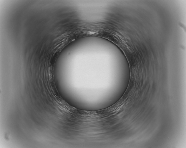 X0000095511442200712140924