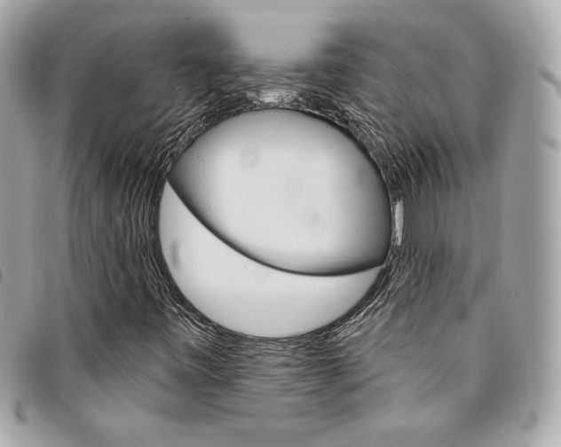 X0000095511443200712140924
