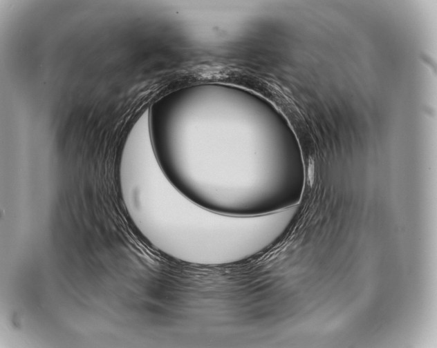 X0000095511444200712140924