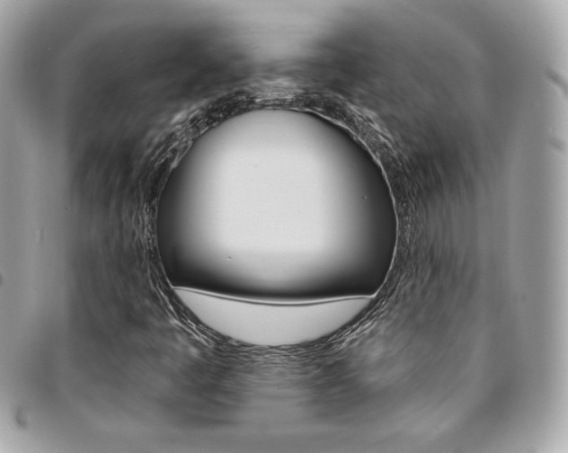 X0000095511445200712140924