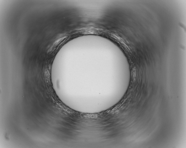 X0000095511446200712140924