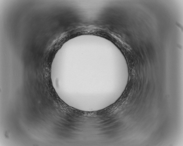 X0000095511447200712140924