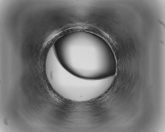 X0000095511448200712140924