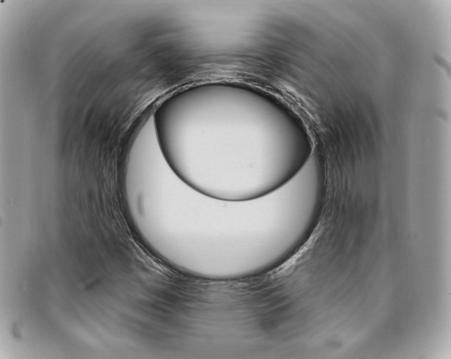 X0000095511449200712140924