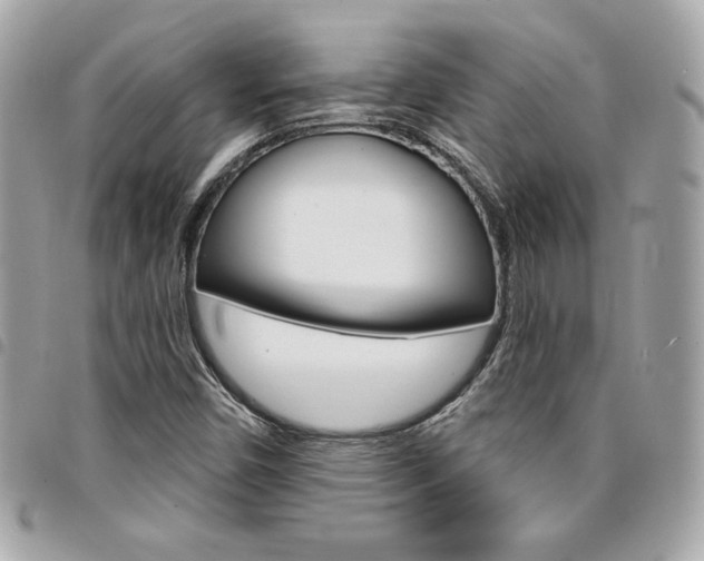 X0000095511450200712140924