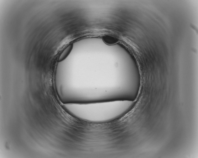 X0000095511451200712140924