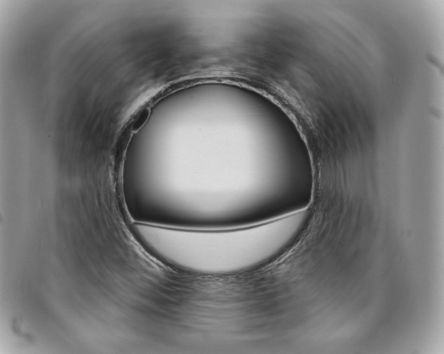 X0000095511452200712140924