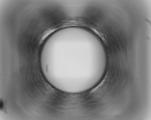 X0000095511453200712140924