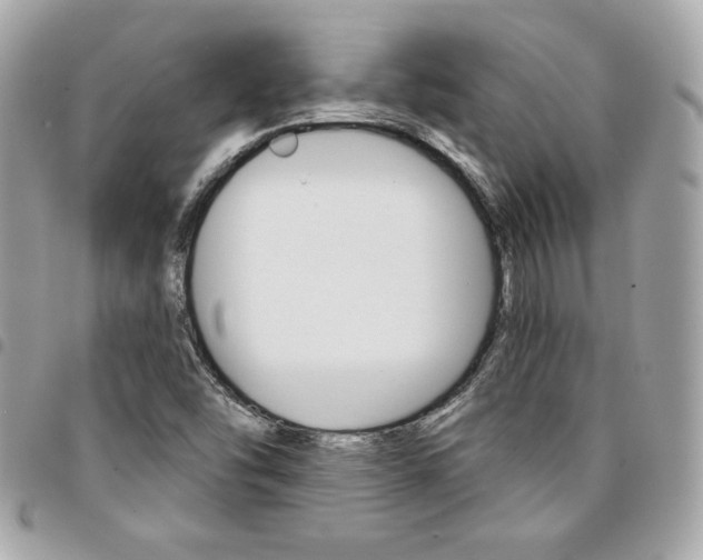 X0000095511454200712140924