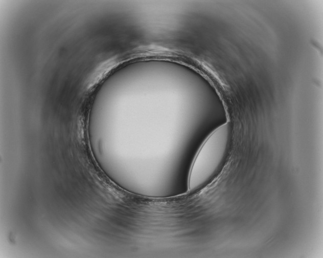 X0000095511455200712140924