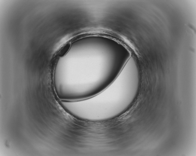 X0000095511456200712140924