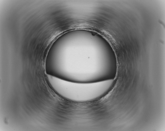 X0000095511457200712140924