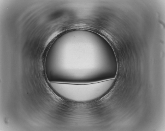 X0000095511458200712140924
