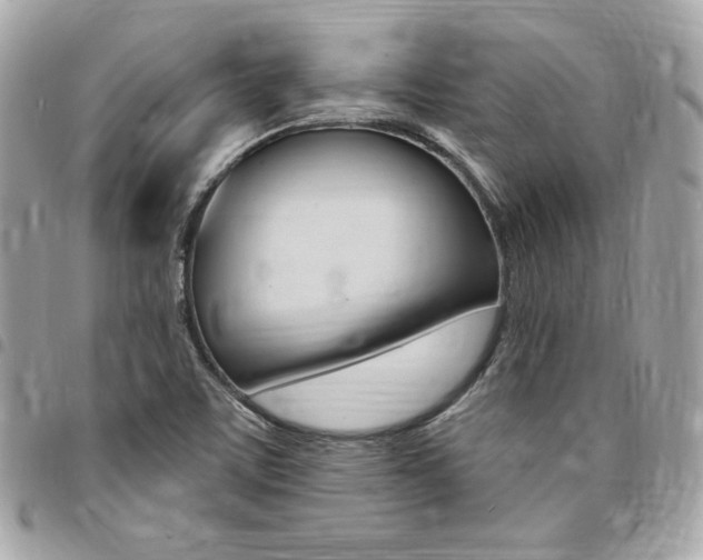 X0000095511459200712140924