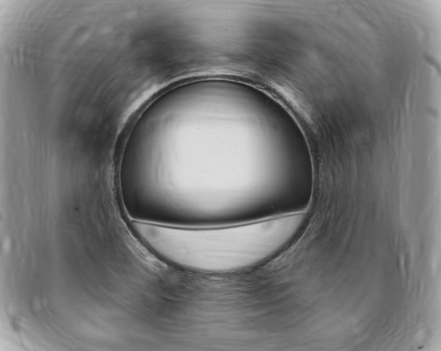 X0000095511460200712140924