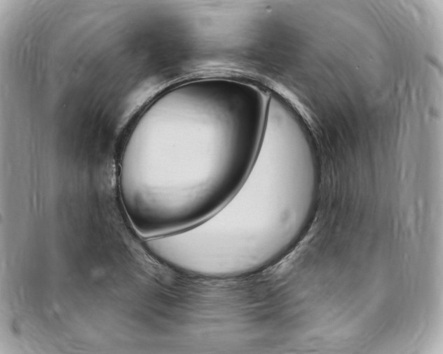 X0000095511461200712140924