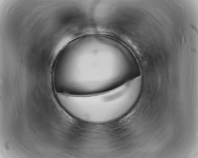 X0000095511463200712140924