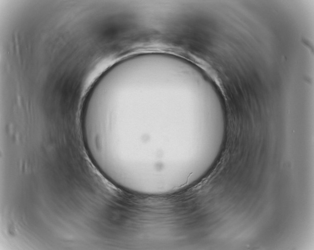 X0000095511464200712140924