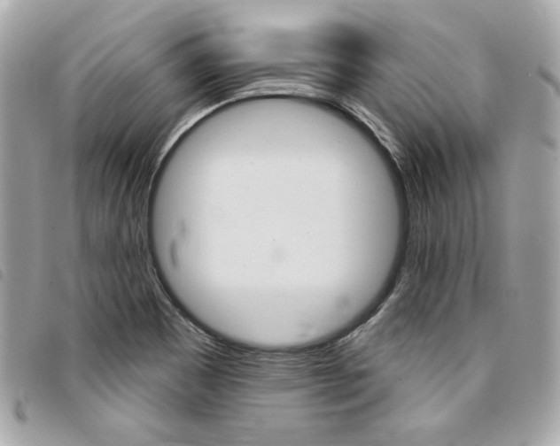 X0000095511465200712140924