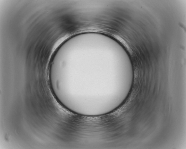X0000095511466200712140924