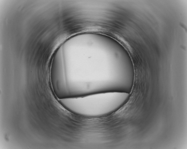 X0000095511467200712140924