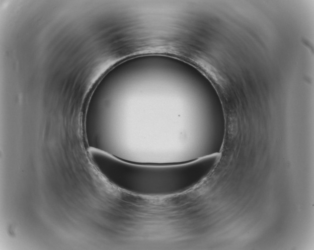 X0000095511468200712140924