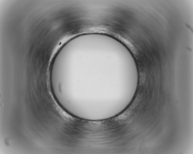 X0000095511470200712140924