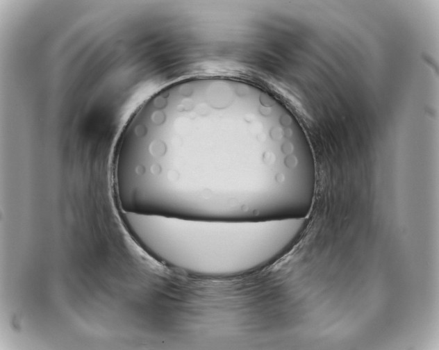 X0000095511471200712140924