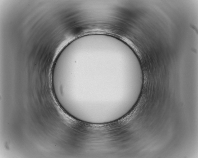 X0000095511474200712140924