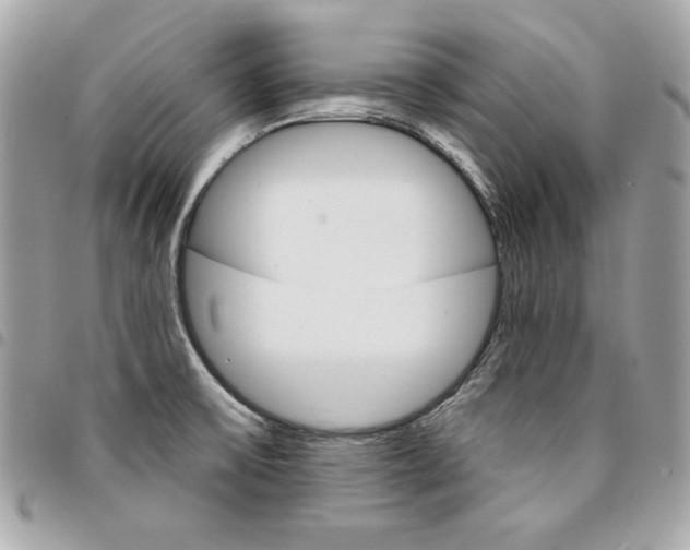 X0000095511475200712140924