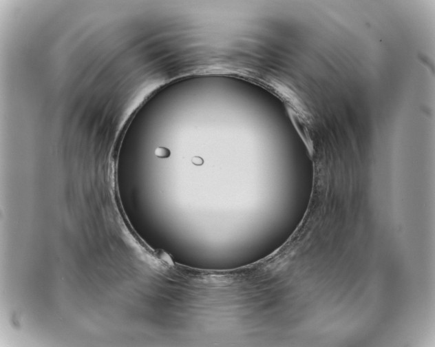 X0000095511476200712140924