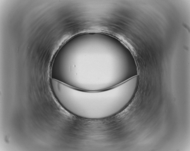 X0000095511477200712140924