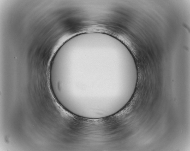 X0000095511478200712140924