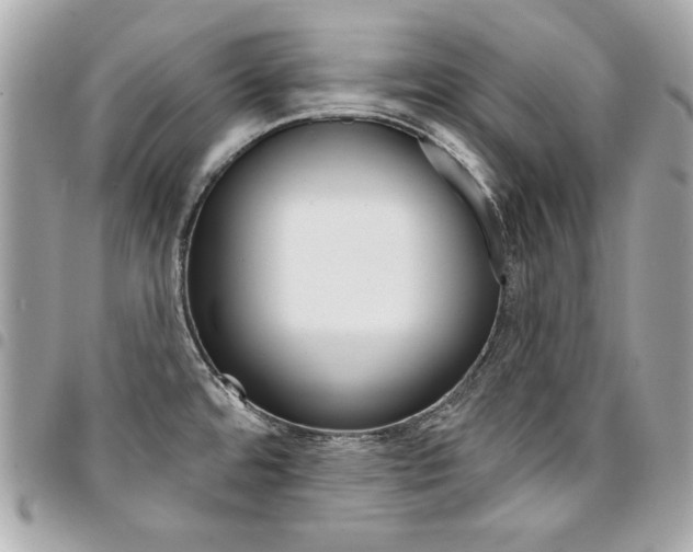 X0000095511480200712140924