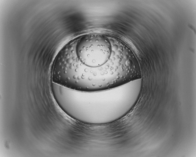 X0000095511483200712140923