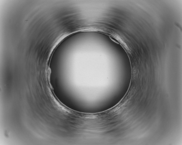 X0000095511484200712140923