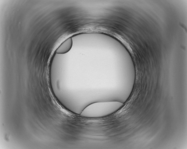 X0000095511486200712140923